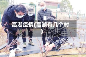 高湖疫情(高湖有几个村)