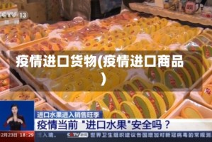 疫情进口货物(疫情进口商品)