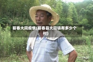 蕲春大同疫情(蕲春县大同镇有多少个村)