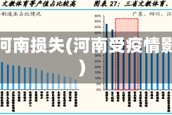 疫情河南损失(河南受疫情影响)