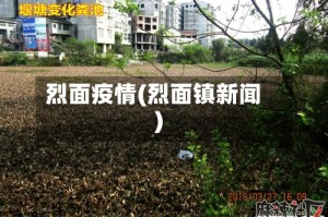 烈面疫情(烈面镇新闻)