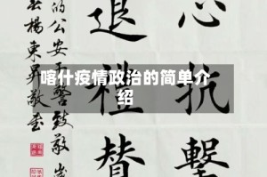 喀什疫情政治的简单介绍