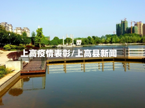 上高疫情表彰/上高县新闻-第2张图片