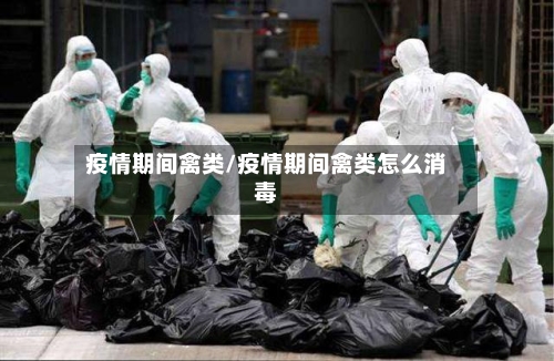 疫情期间禽类/疫情期间禽类怎么消毒-第2张图片