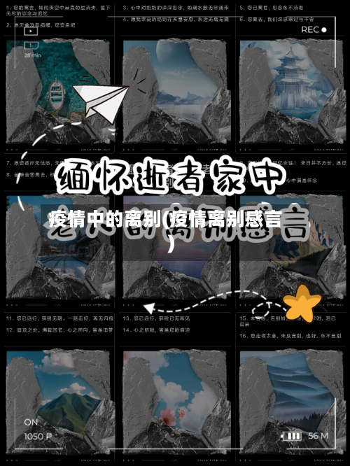 疫情中的离别(疫情离别感言)-第3张图片