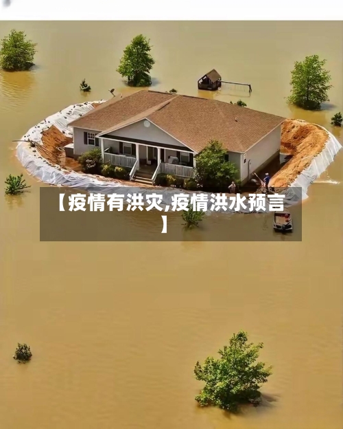【疫情有洪灾,疫情洪水预言】-第3张图片