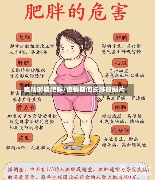 疫情时期肥胖/疫情期间长胖的图片-第2张图片