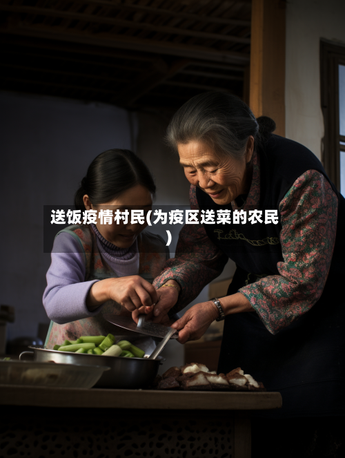 送饭疫情村民(为疫区送菜的农民)-第1张图片