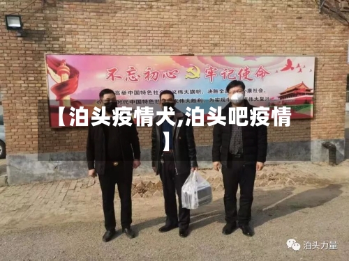 【泊头疫情犬,泊头吧疫情】-第2张图片