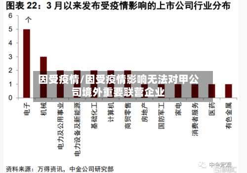 因受疫情/因受疫情影响无法对甲公司境外重要联营企业-第3张图片
