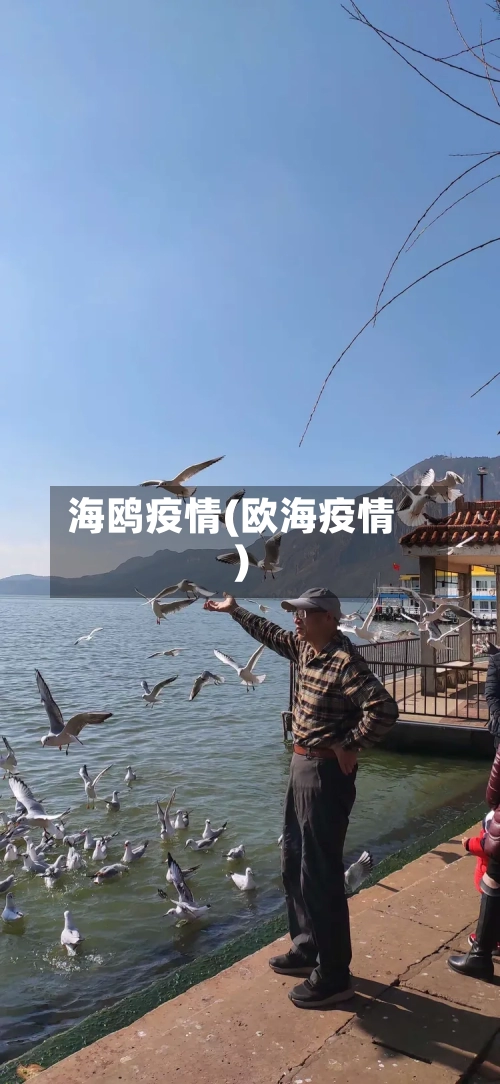 海鸥疫情(欧海疫情)-第1张图片
