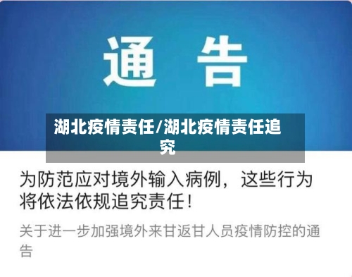 湖北疫情责任/湖北疫情责任追究-第2张图片