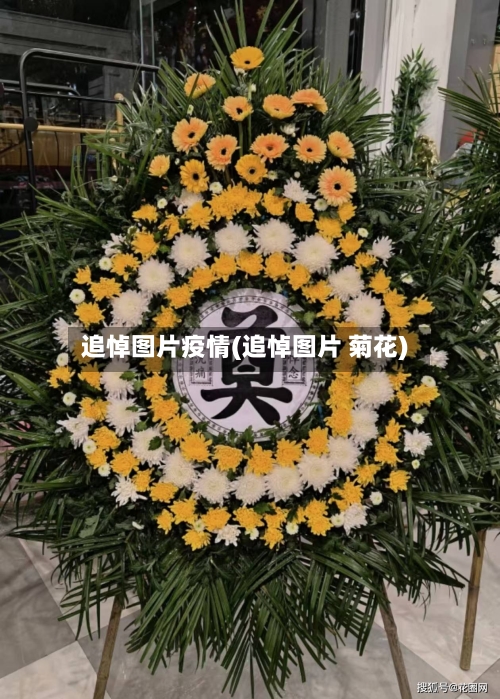 追悼图片疫情(追悼图片 菊花)-第2张图片