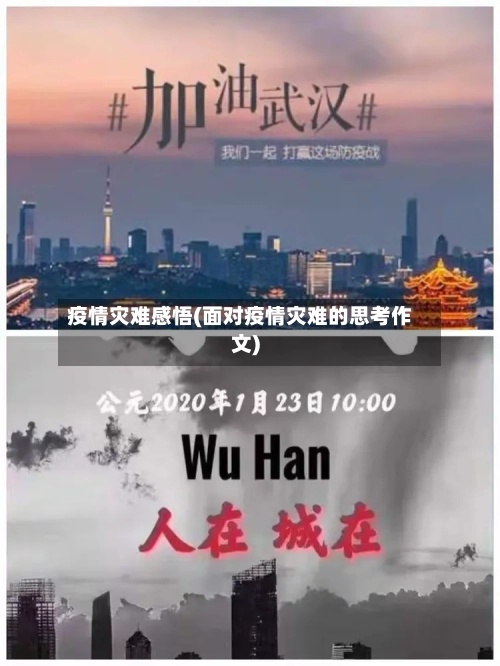 疫情灾难感悟(面对疫情灾难的思考作文)-第1张图片