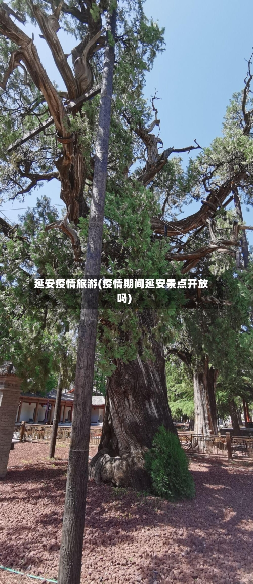 延安疫情旅游(疫情期间延安景点开放吗)-第1张图片