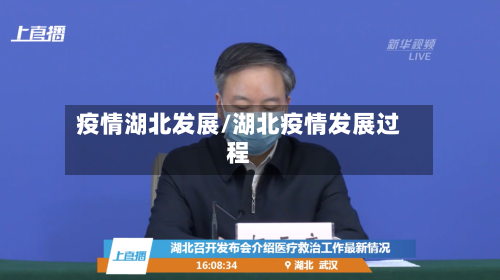 疫情湖北发展/湖北疫情发展过程-第3张图片
