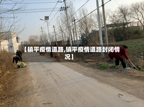 【镇平疫情道路,镇平疫情道路封闭情况】-第3张图片