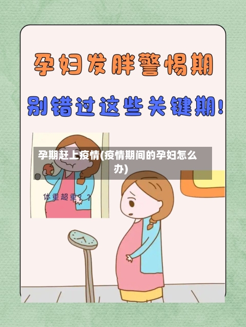 孕期赶上疫情(疫情期间的孕妇怎么办)-第1张图片