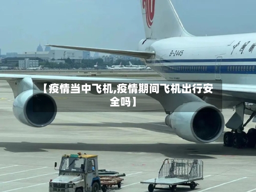 【疫情当中飞机,疫情期间飞机出行安全吗】-第2张图片